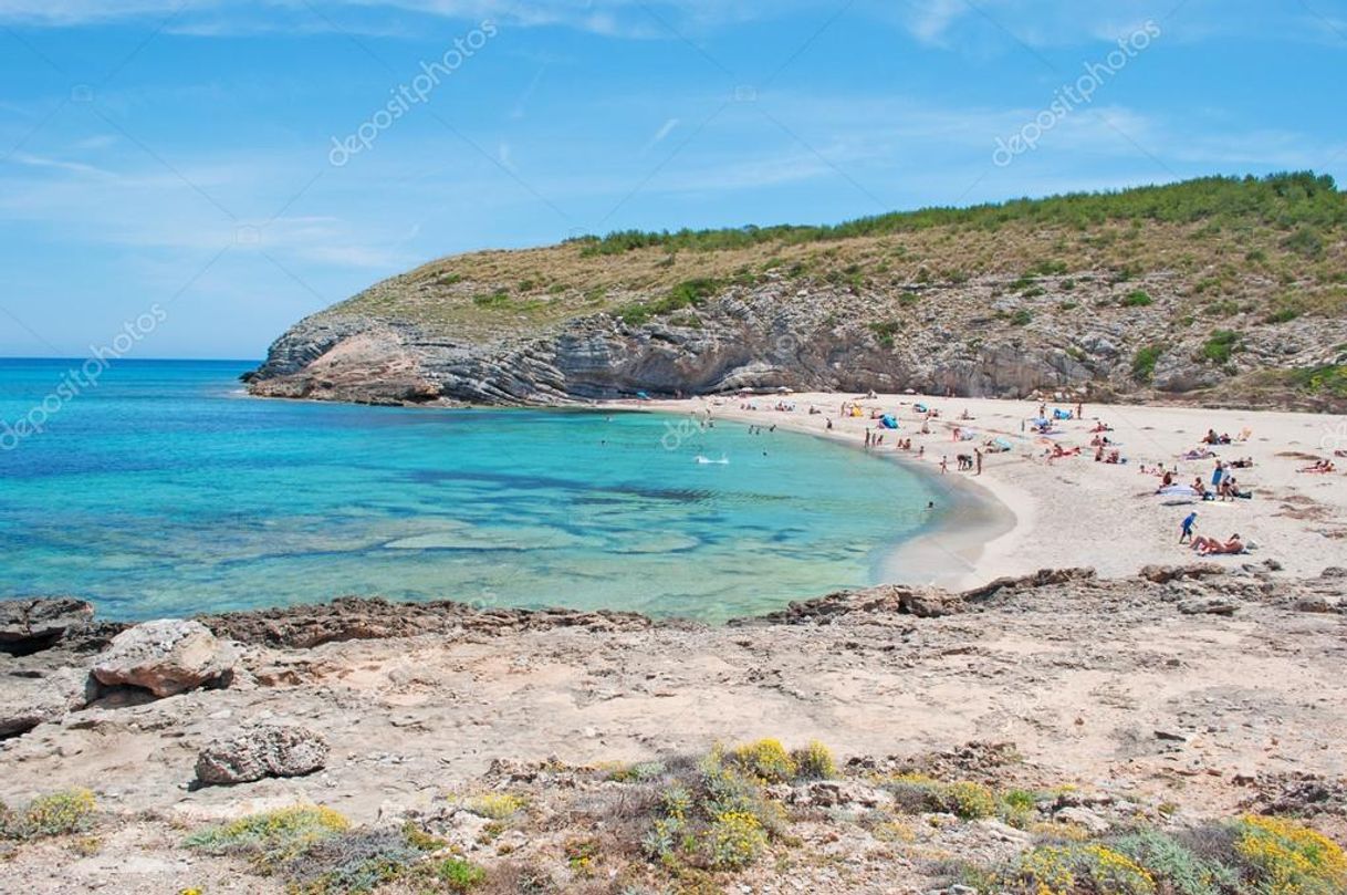 Place Cala Torta