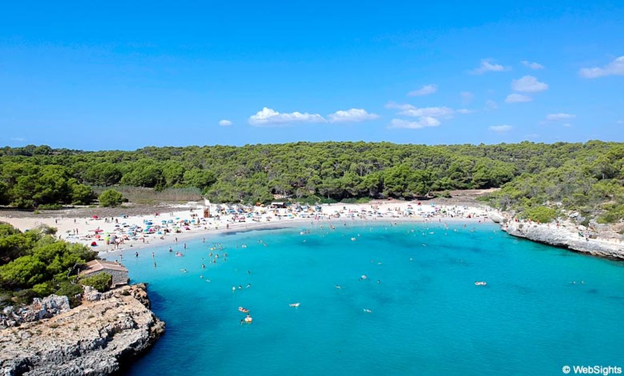 Place Cala S'Amarador