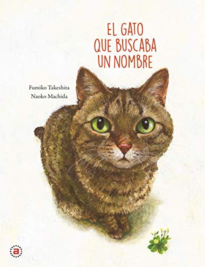 Libros El Gato que buscaba Un Nombre: 1