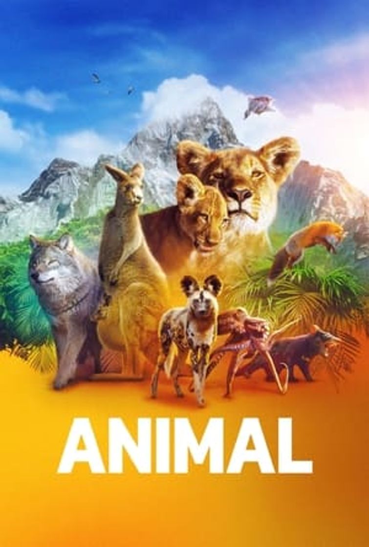 Serie Animal