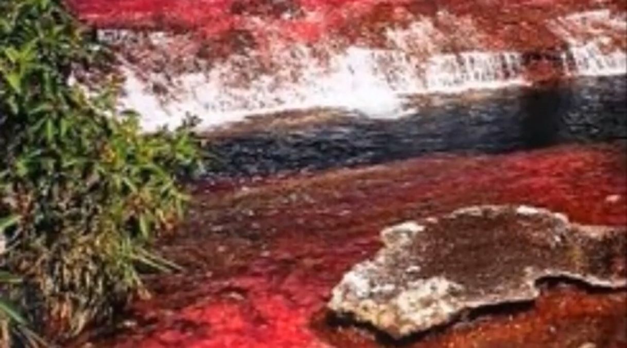 Lugar Caño Cristales