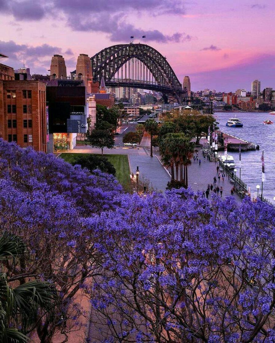 Fashion Sydney, Austrália ♡