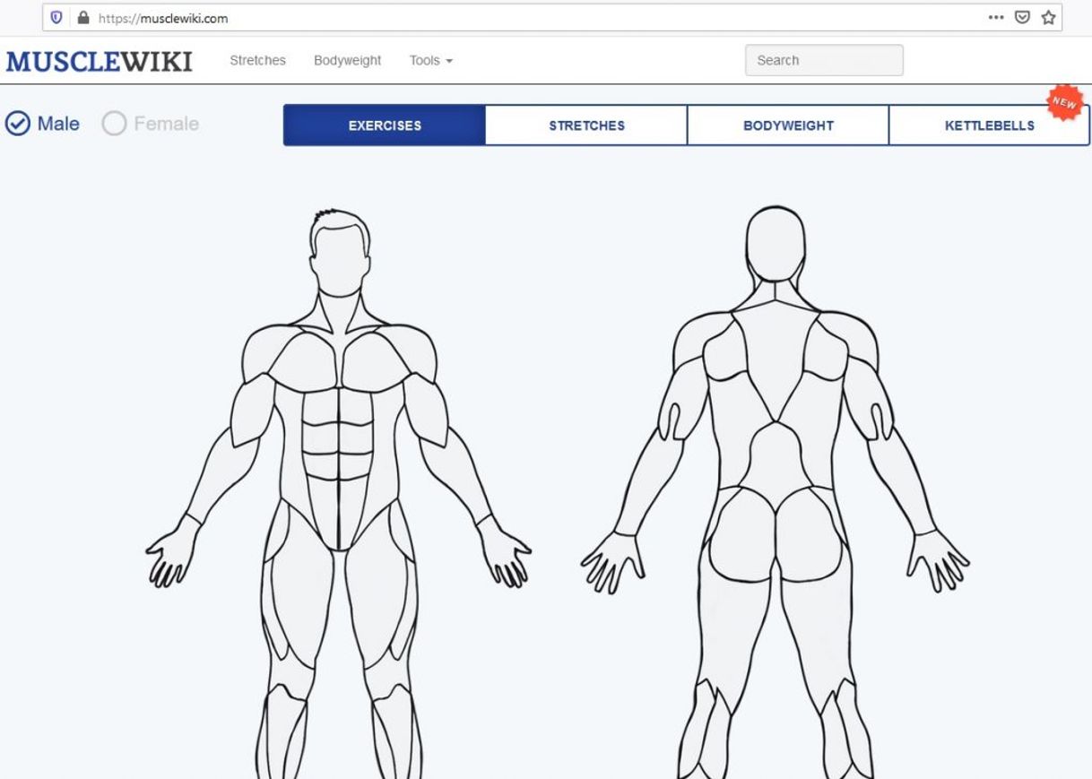 Social MuscleWiki