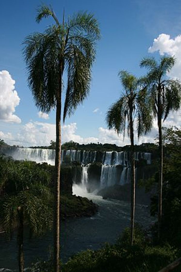 Place Puerto Iguazú