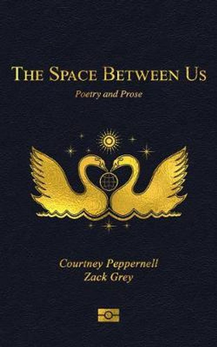 Book The space between us 