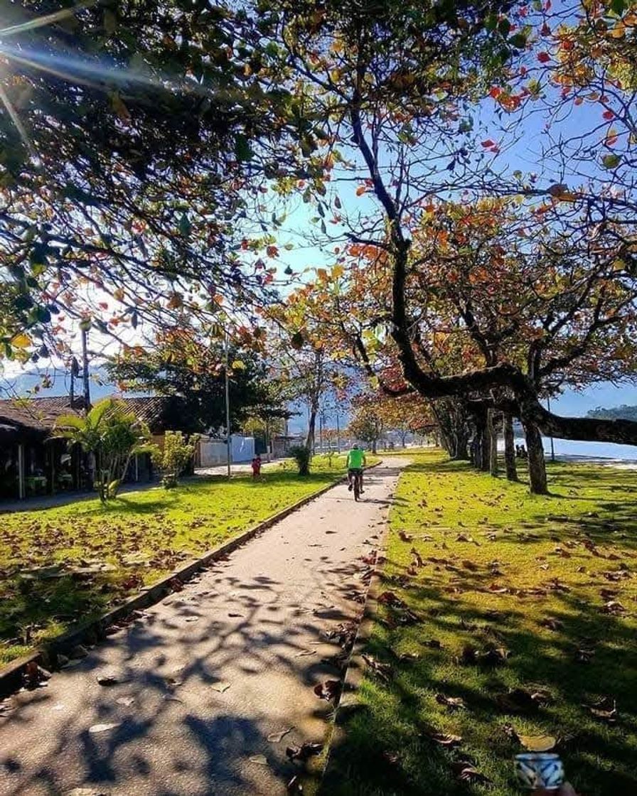 Place Ubatuba