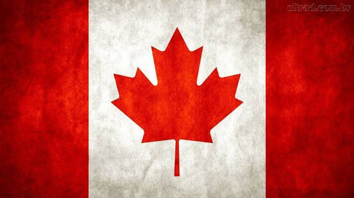 Fashion Canadian flag