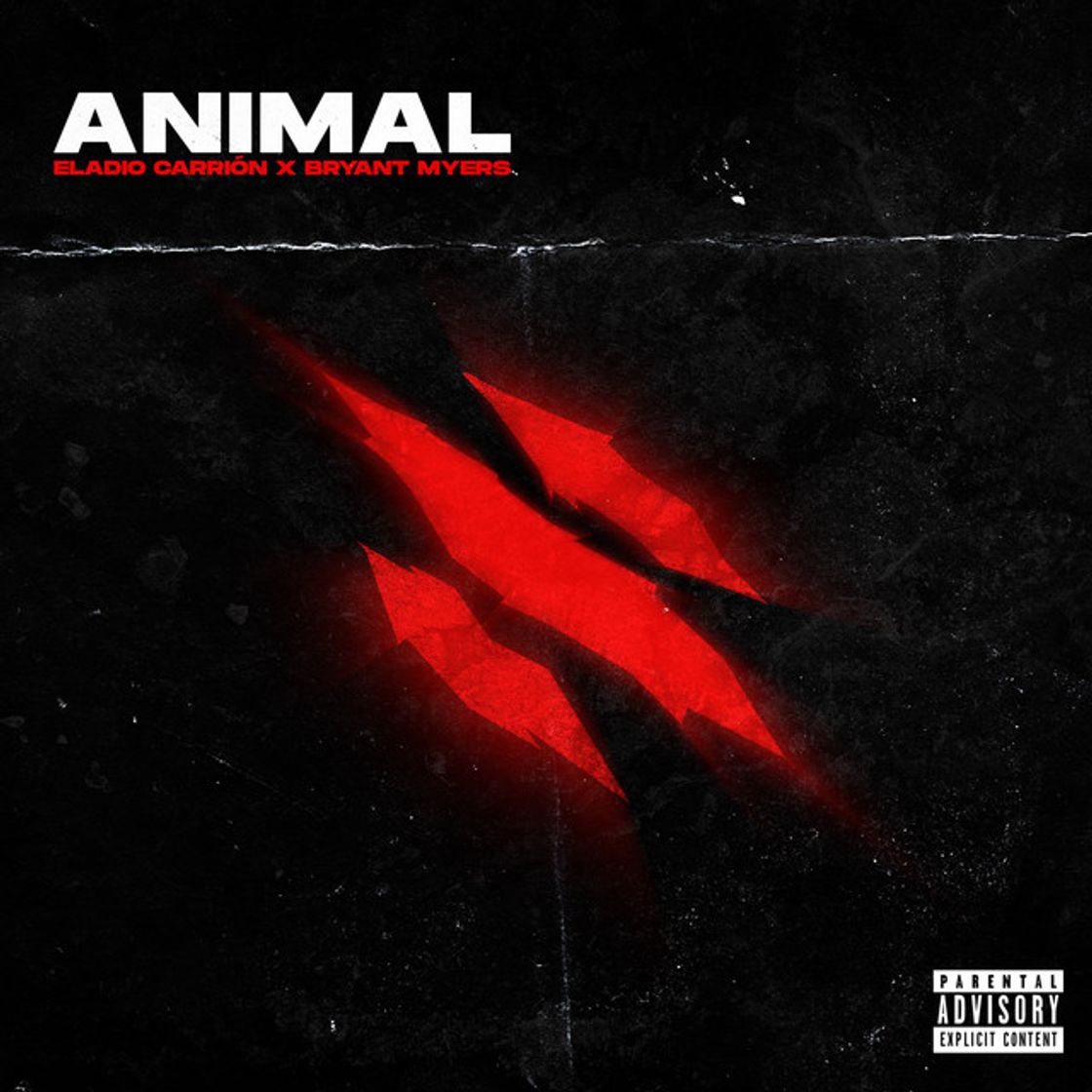Canción Animal