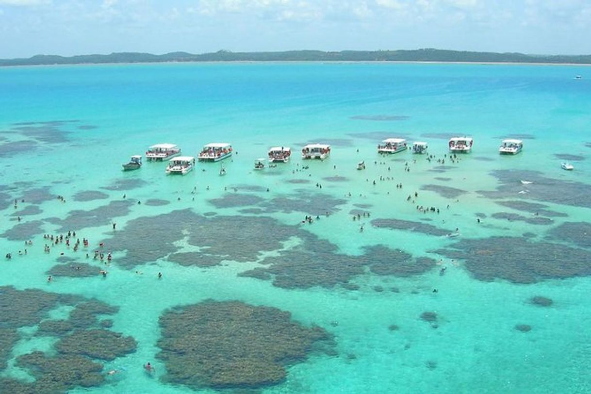 Place Praia de Maragogi