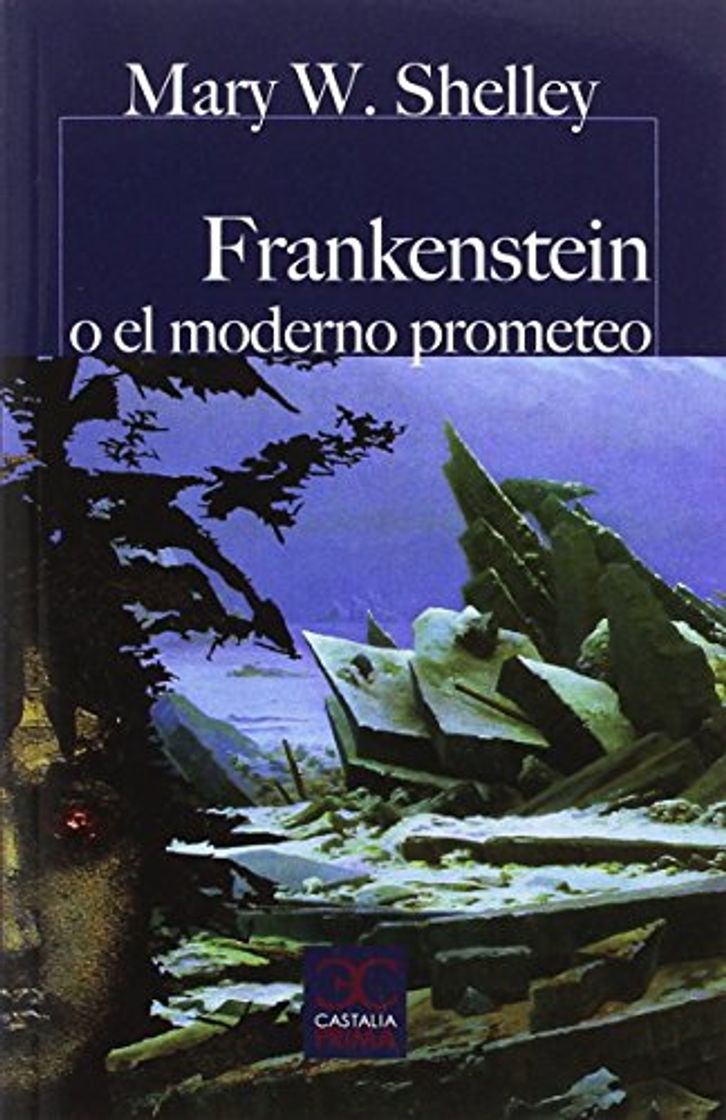 Book Frankenstein o El moderno Prometeo