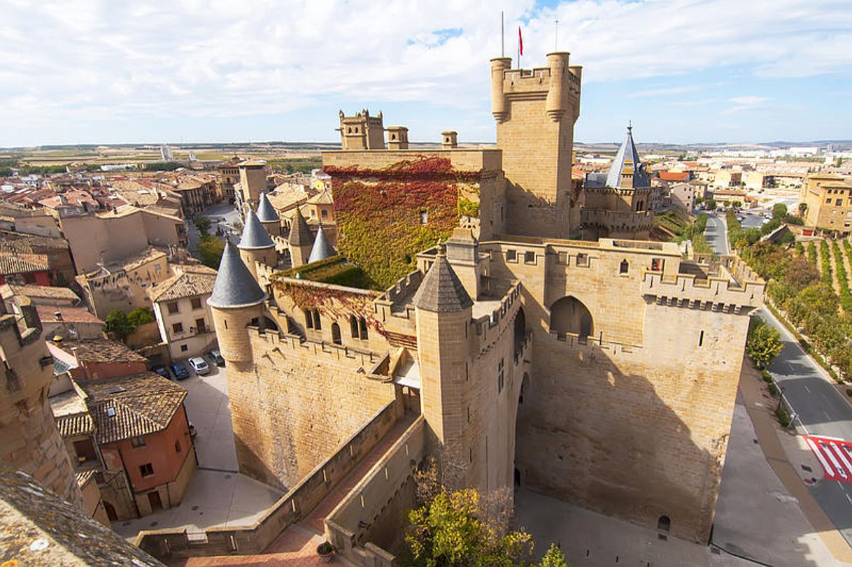 Place Olite