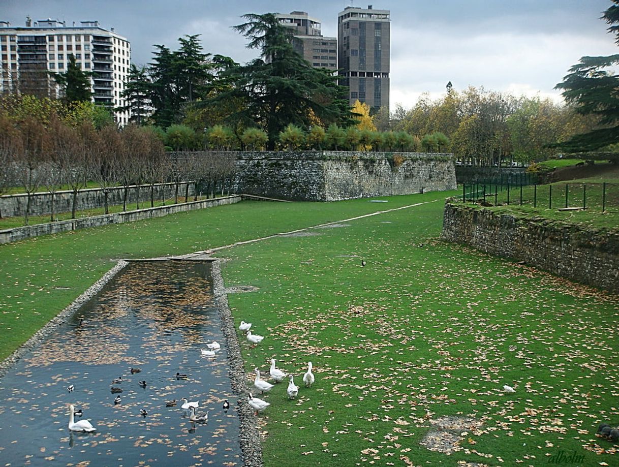 Lugares Jardines de la Taconera