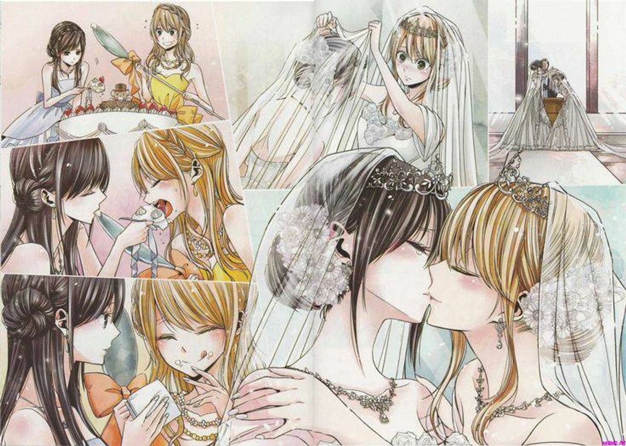 Book Citrus #1