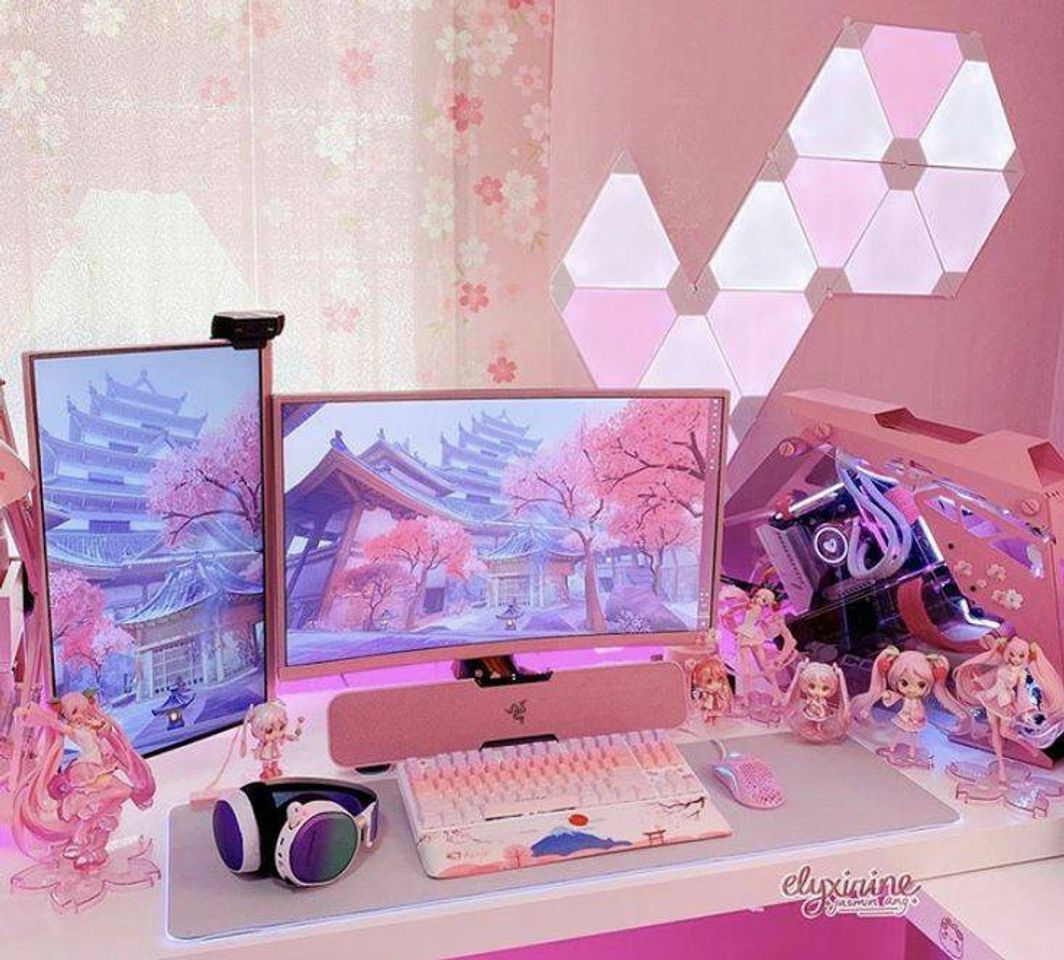 Social Setup