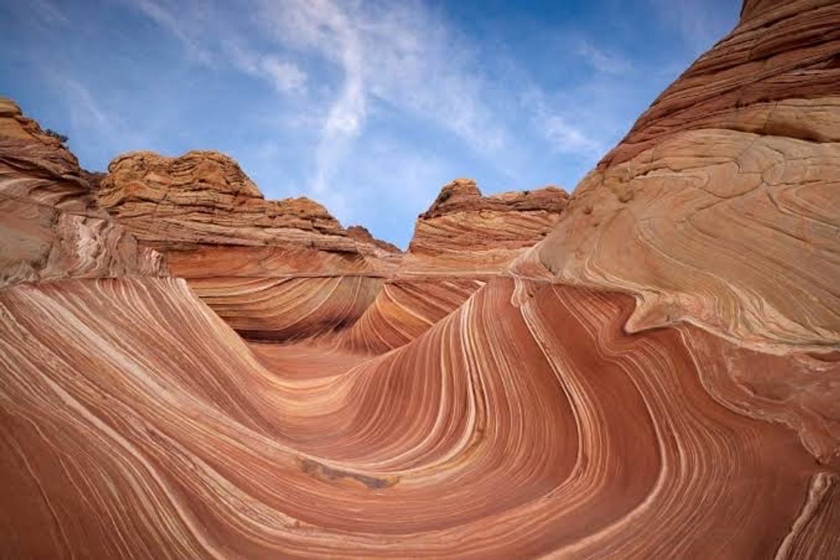 Moda Wave, Arizona