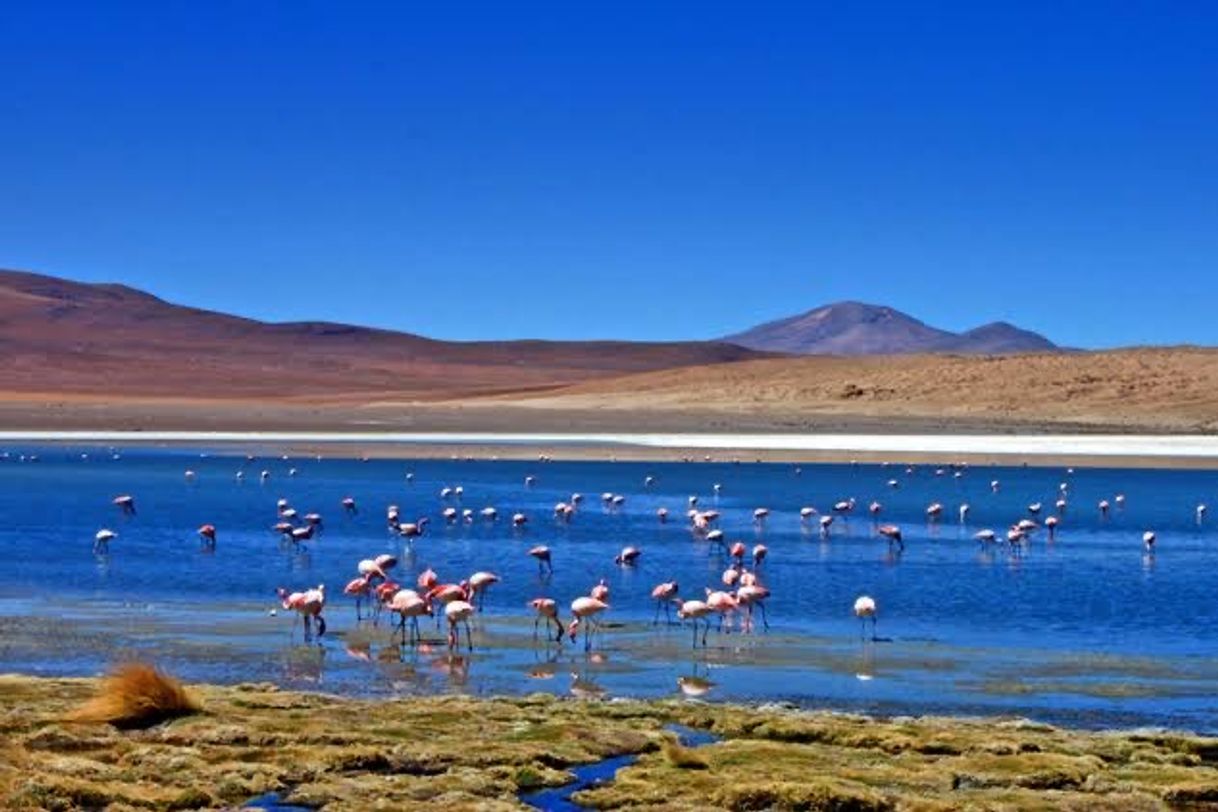 Fashion Salar de Uyuni, Bolívia