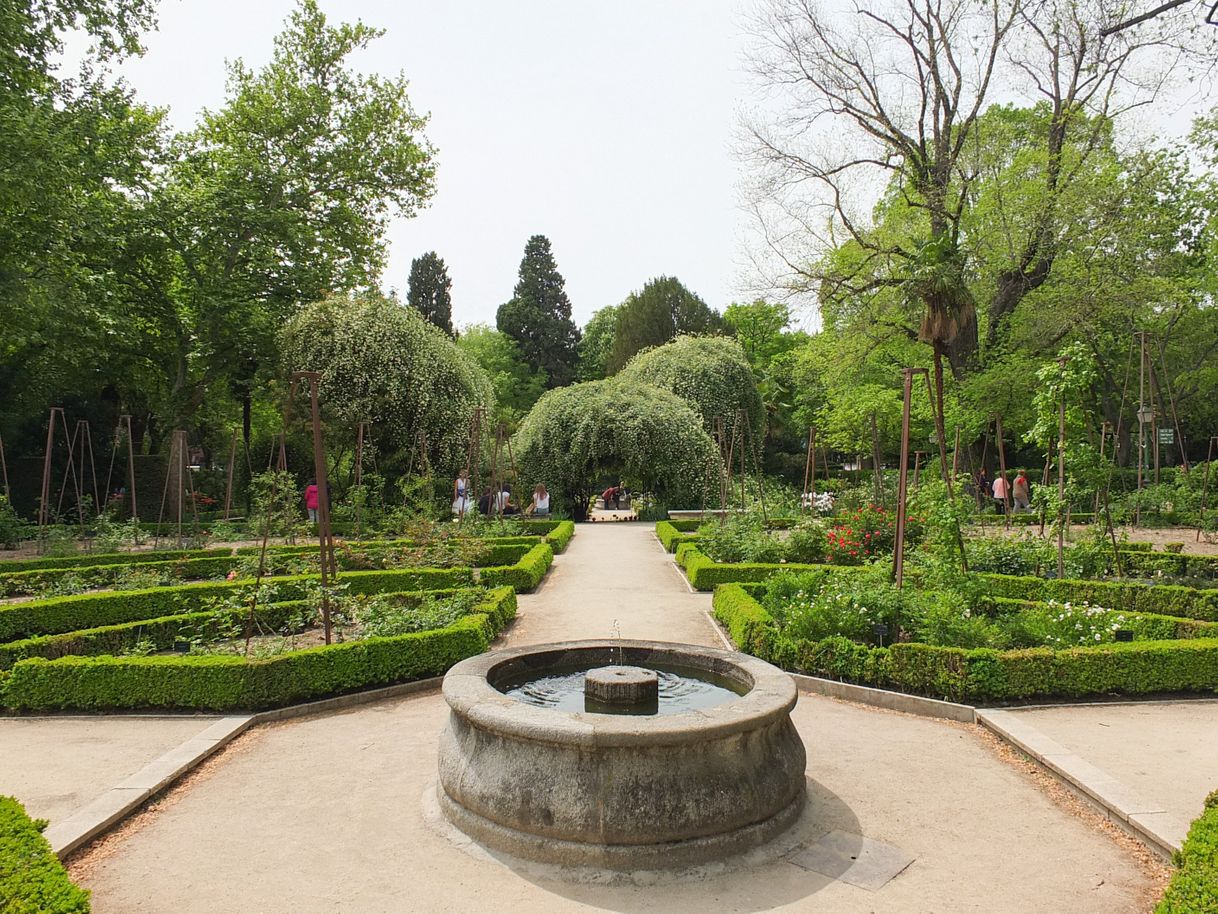 Lugar Real Jardín Botánico