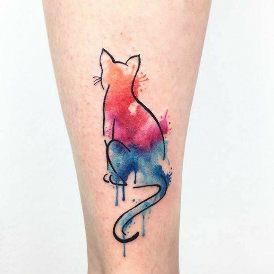 Fashion Tattoo cat