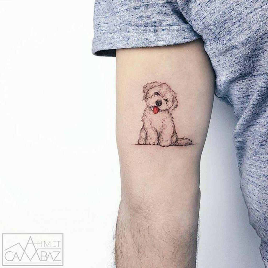 Fashion Tattoo pet