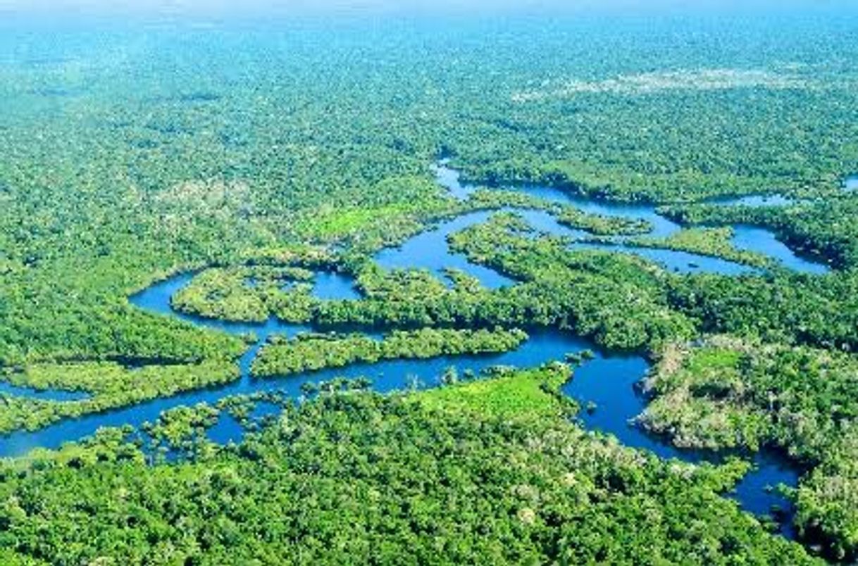 Lugar Amazonas