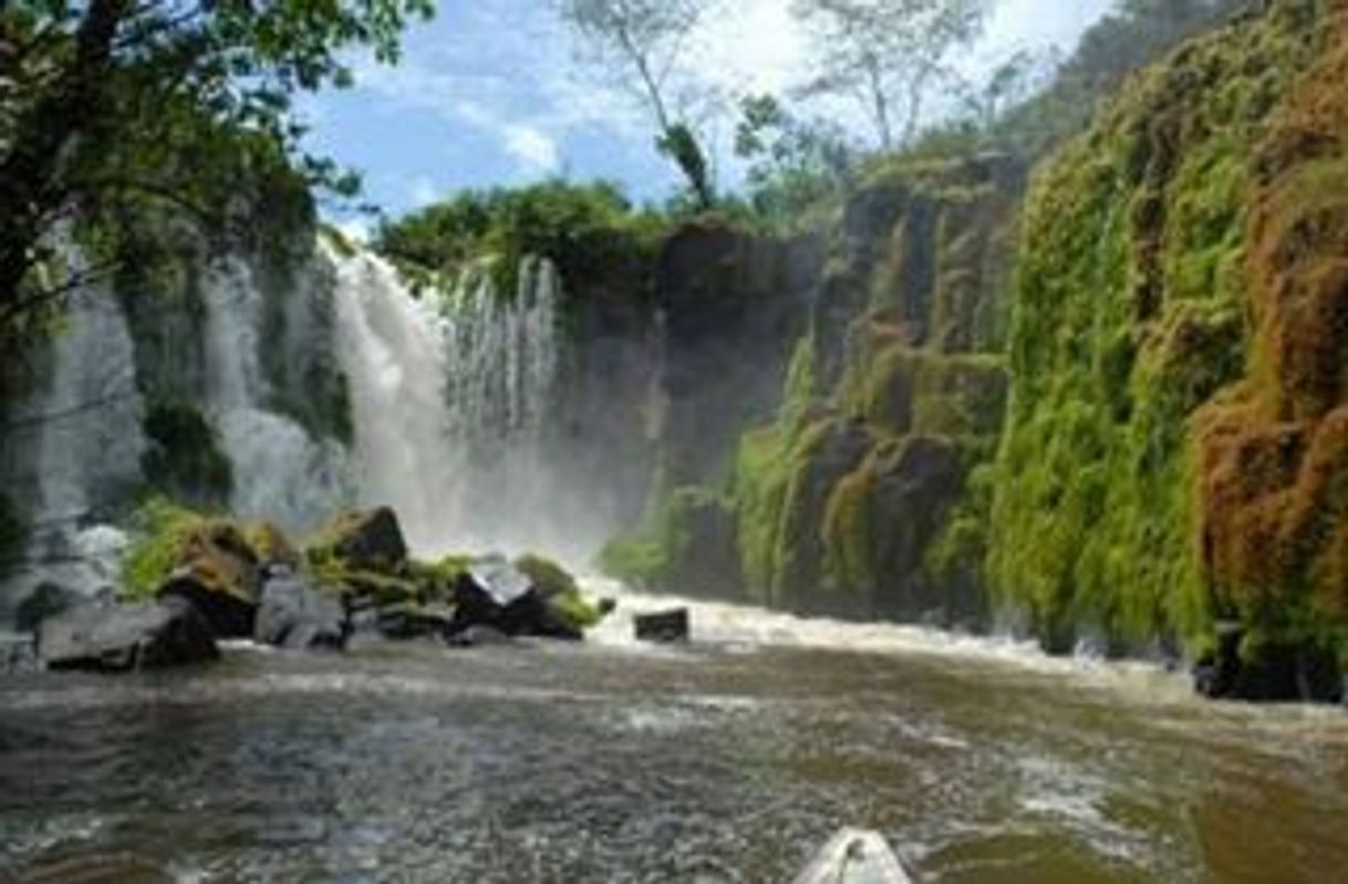 Lugar Parque Nacional Montanhas do Tumucumaque