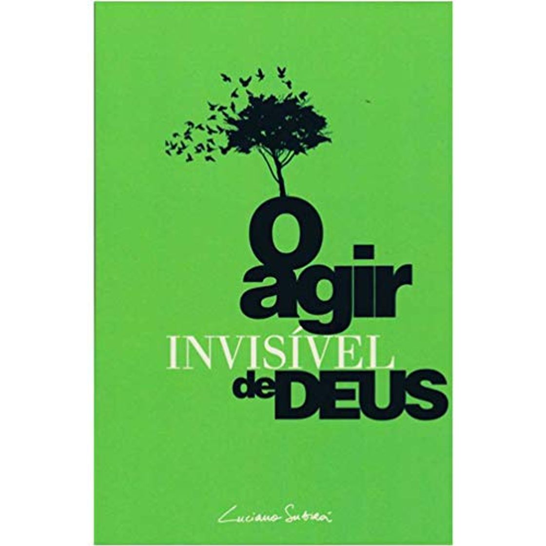 Libro Agir Invisivel De Deus