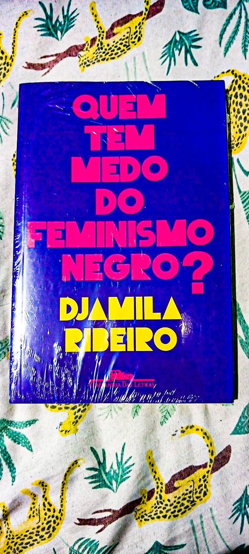 Libro Quem Tem Medo do Feminismo Negro?