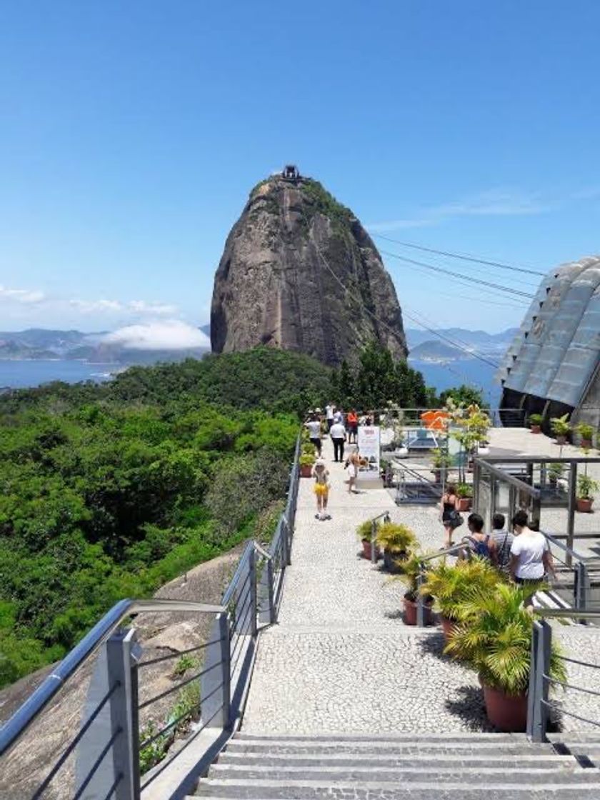 Lugar Trilha do Morro da Urca