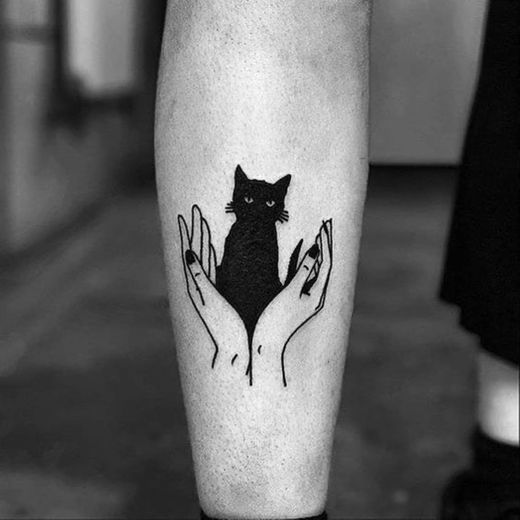 Tatto gato