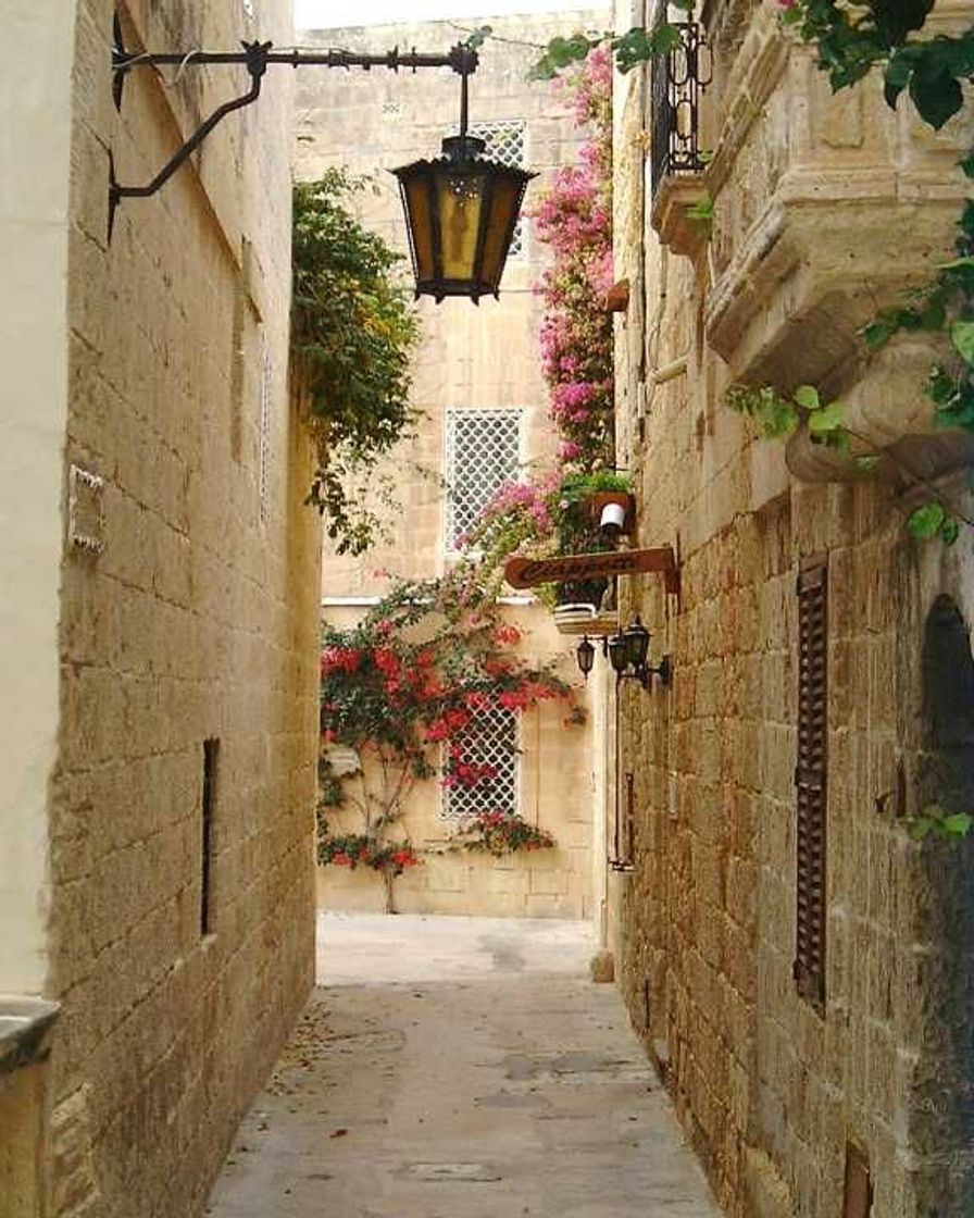 Lugar Mdina Road