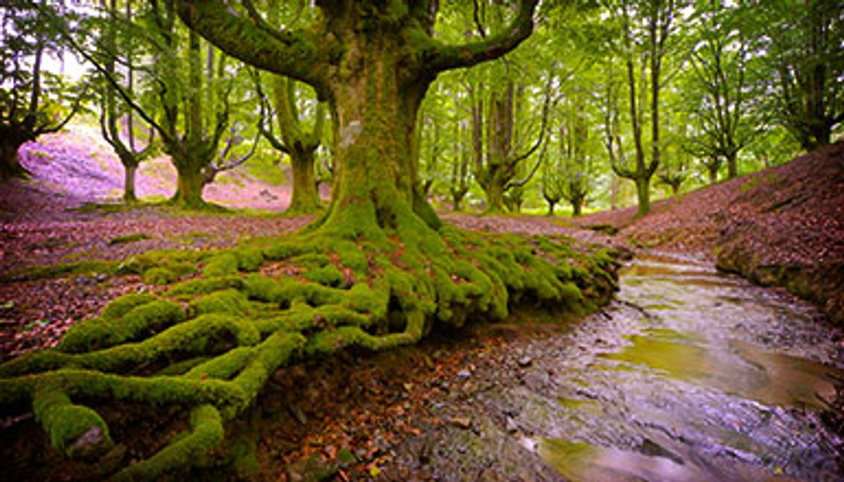 Lugar Gorbea