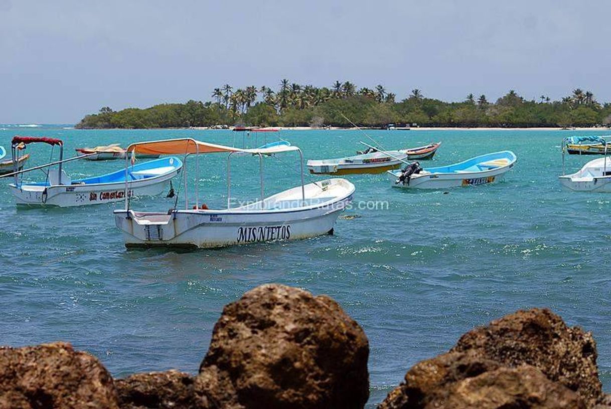 Lugar Playa Chichiriviche de la Costa