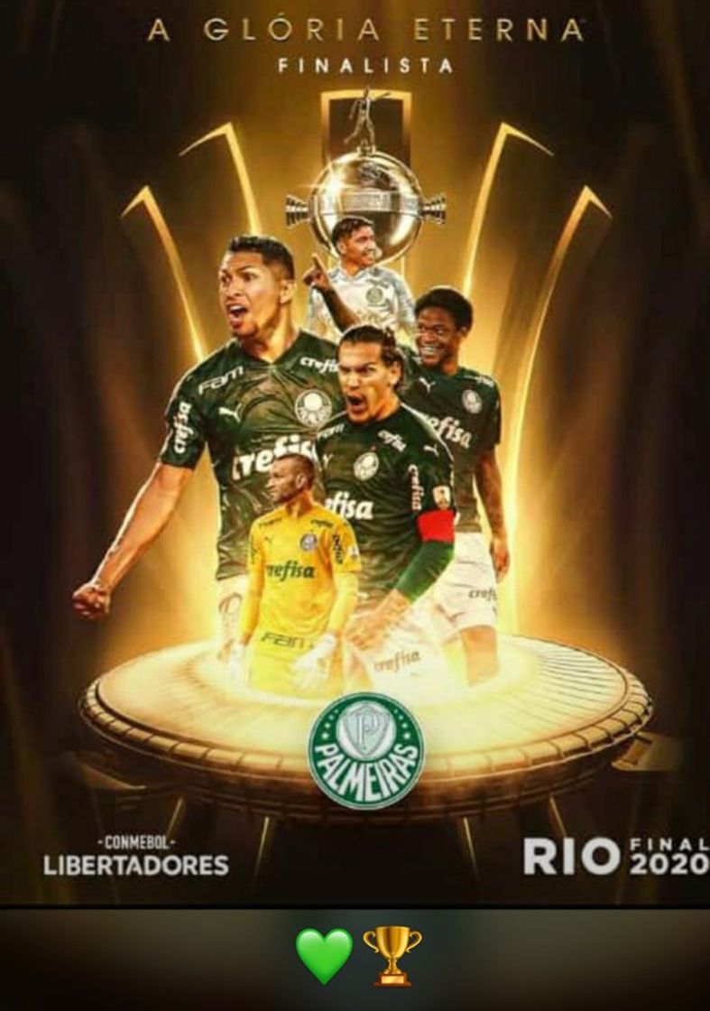 Moda Palmeiras 