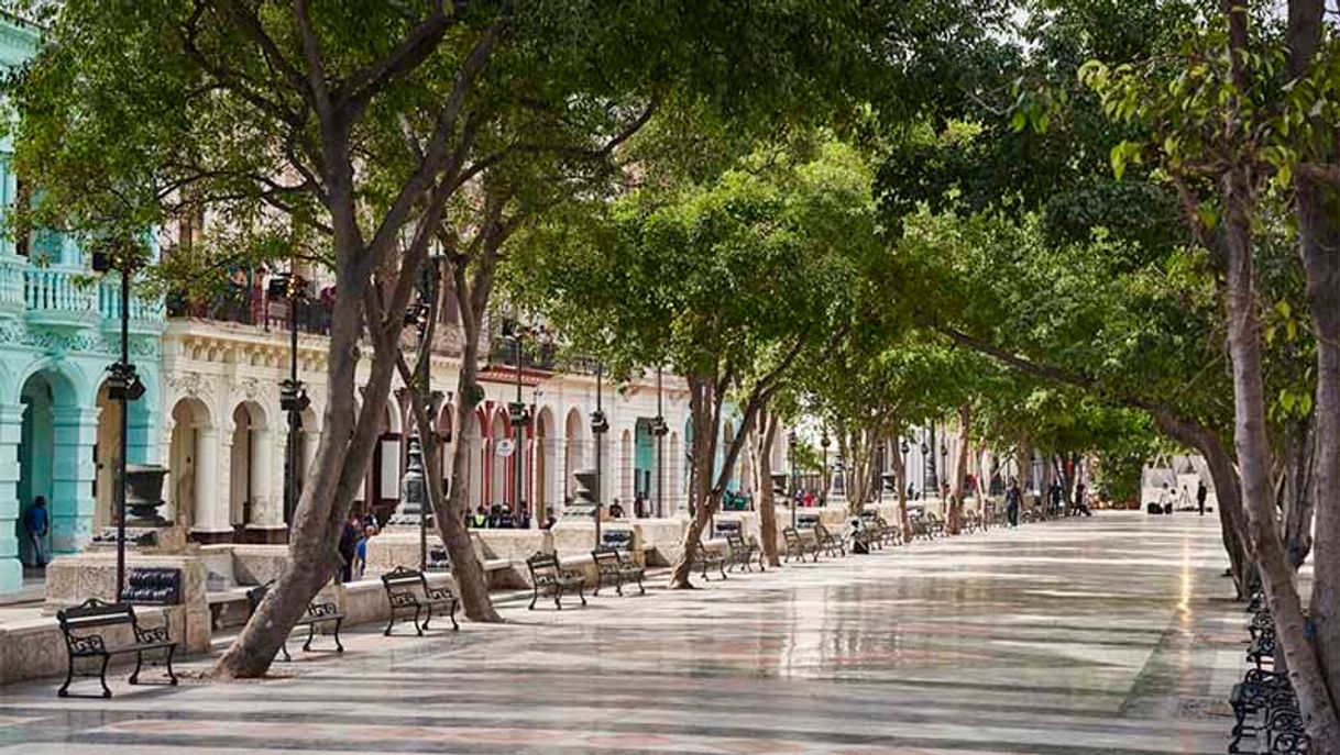 Lugares Paseo del Prado