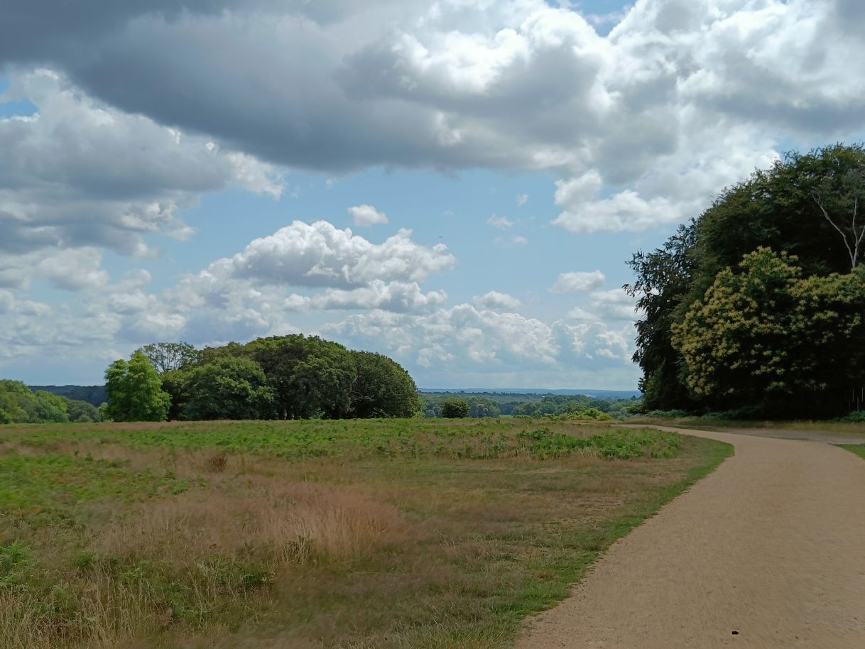 Place Richmond Park