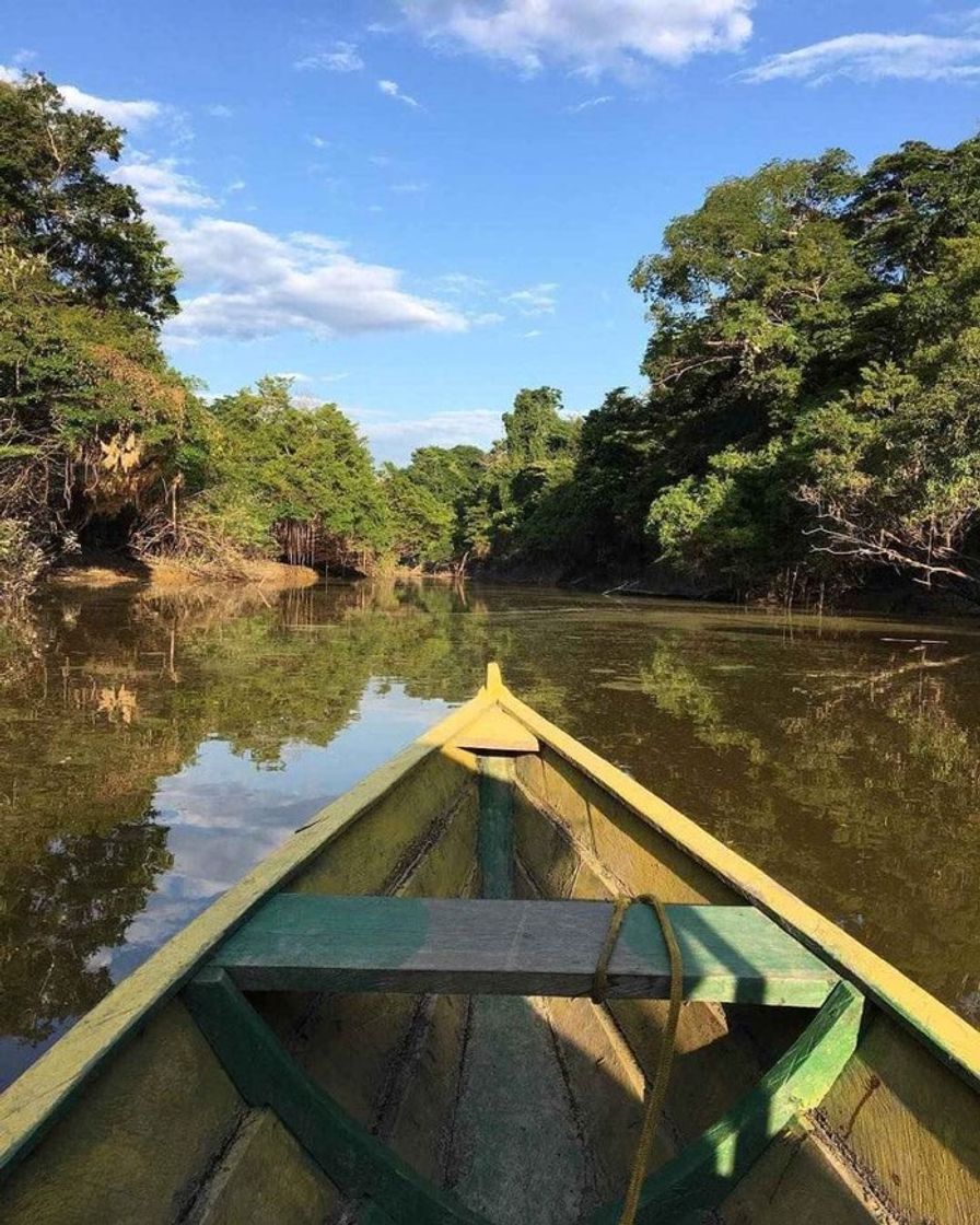 Place Amazonas 