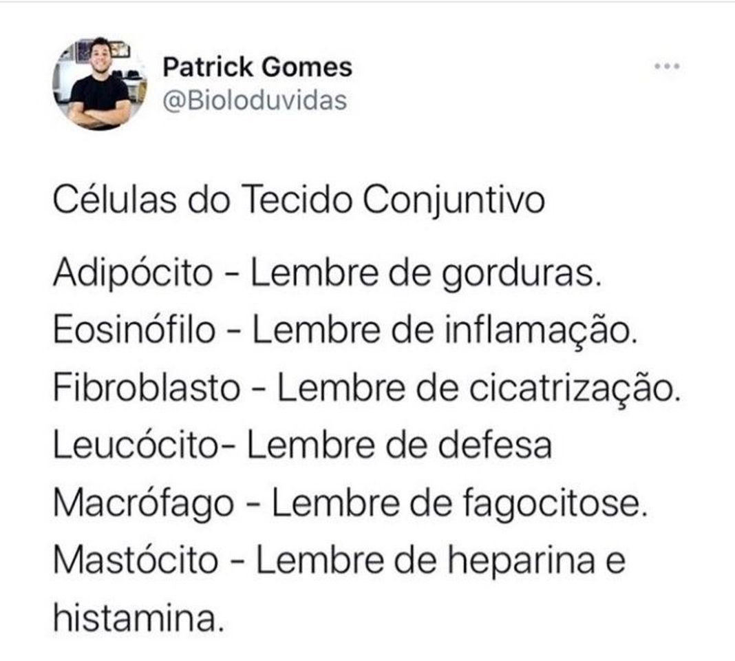 Fashion células do tecido conjuntivo