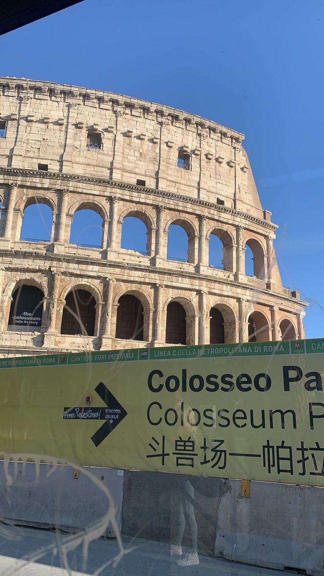 Lugar Coliseo de Roma