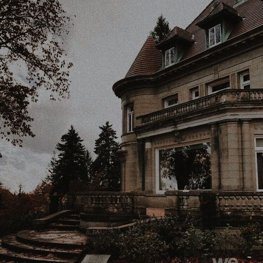 Social Dark Academia - Aesthetic 