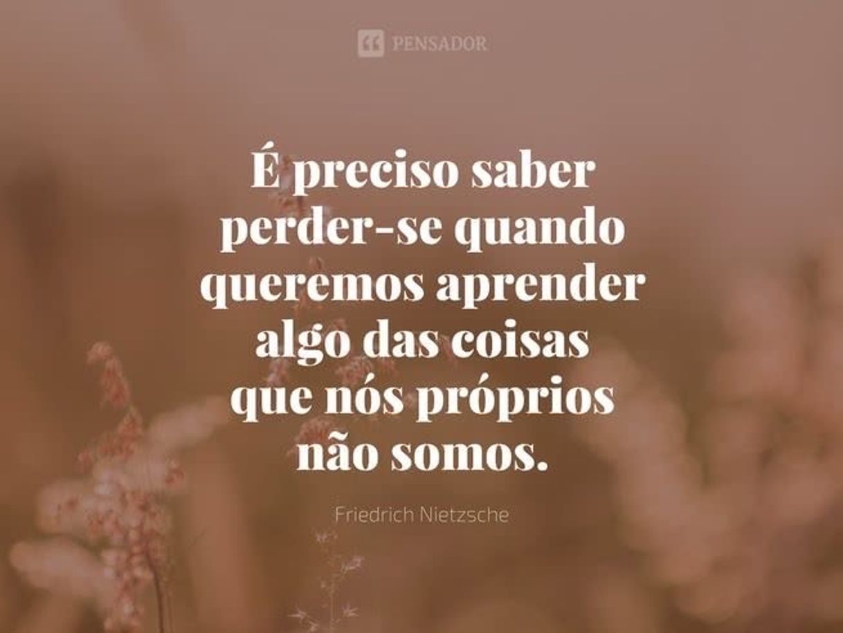 Social Frases para levar pra vida inteira ❤️