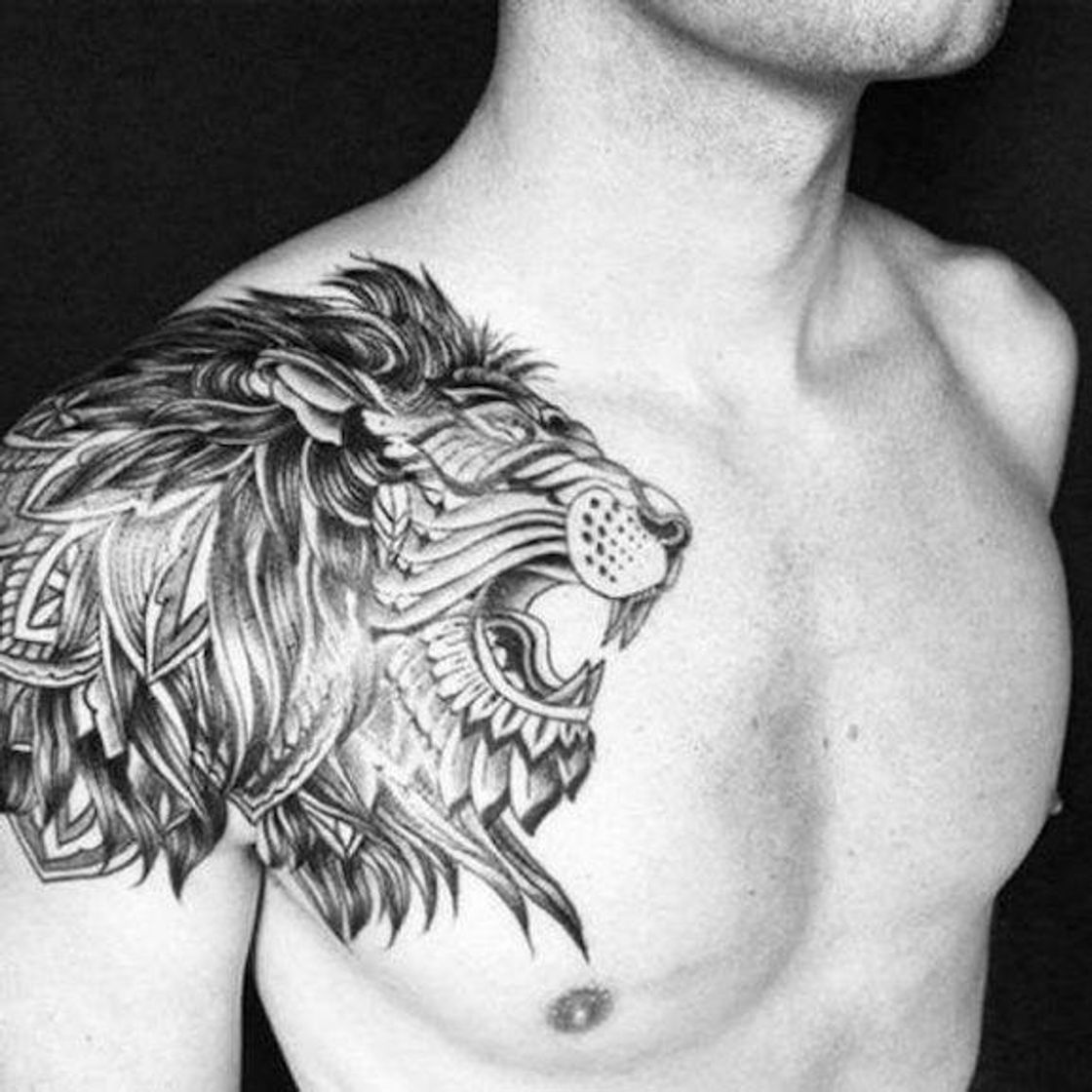 Fashion Lion chest