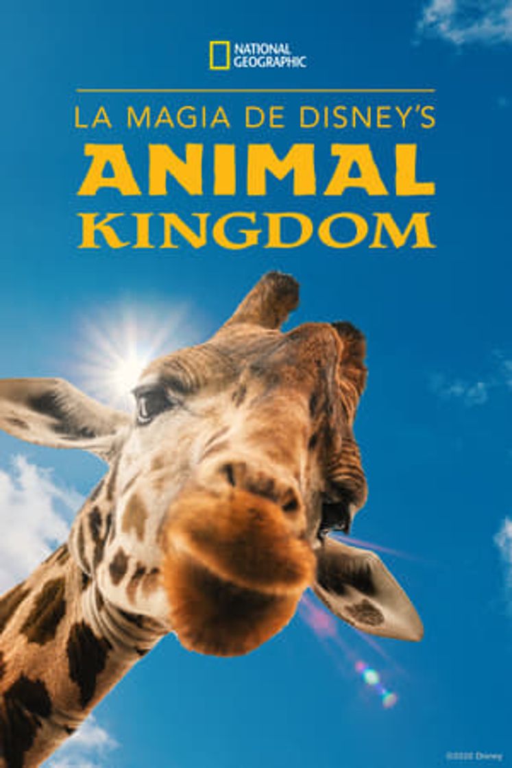 Serie La Magia de Animal Kingdom de Disney