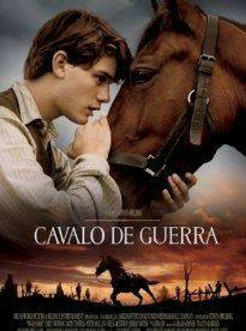 Movies CAVALO DE GUERRA