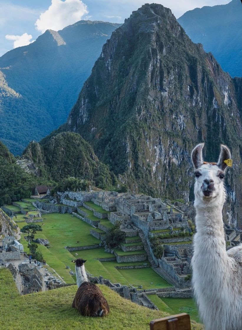 Place Machu Picchu