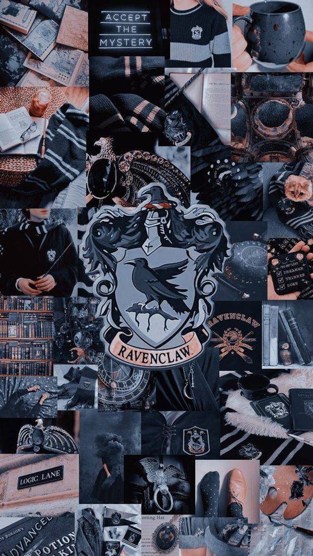 Fashion RAVENCLAW 🦡