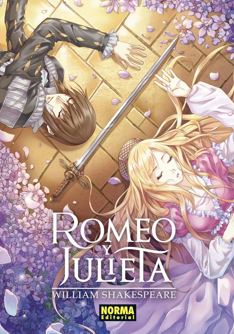 Libro Romeo y Julieta