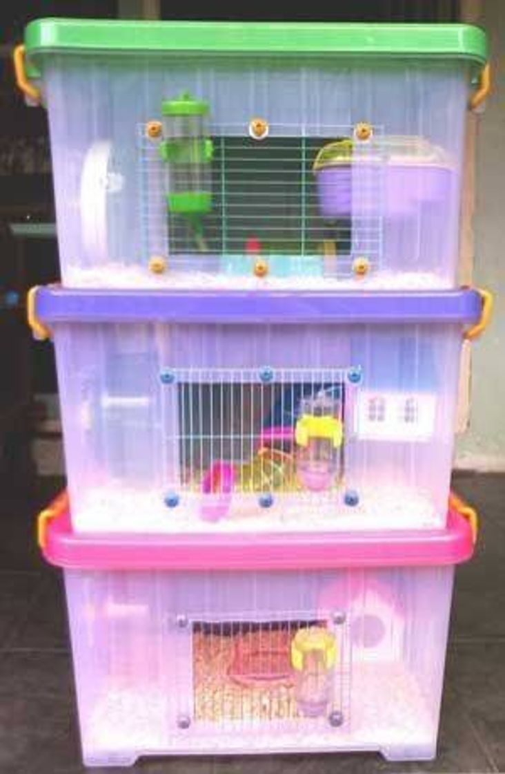 Fashion Casa para Hamster