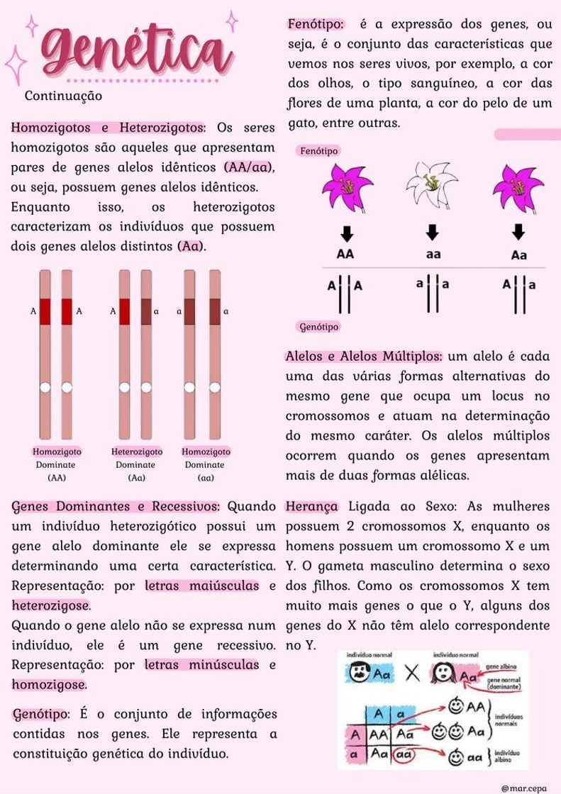 Moda E vamos de Genética 🧬 