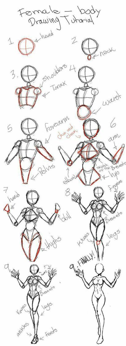 Moda Tutorial anatomia feminina