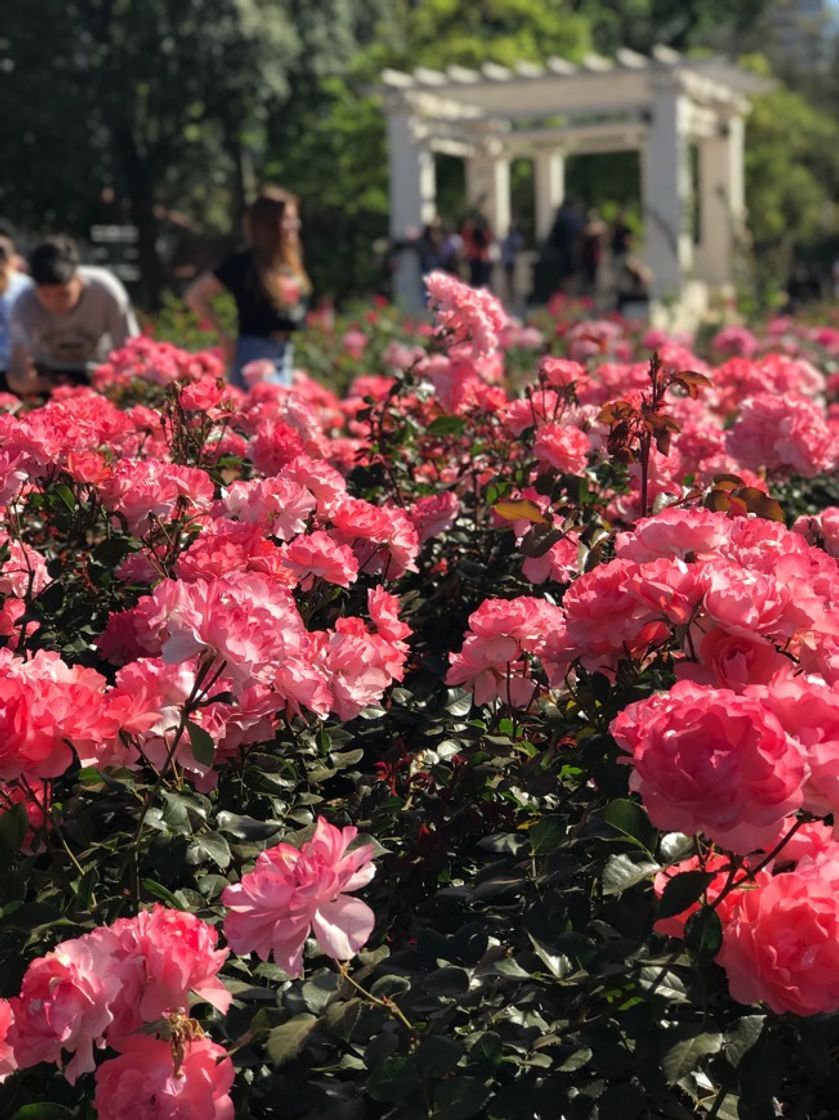 Lugar El Rosedal de Palermo